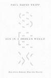 Sex in a Broken World: How Christ Redeems What Sin Distorts