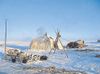 New Bible storybook for the Chukchi of Siberia