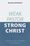 Weak Pastor, Strong Christ: Developing a Christ-shaped gospel ministry