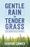 Gentle Rain on Tender Grass: Daily Readings from the Pentateuch